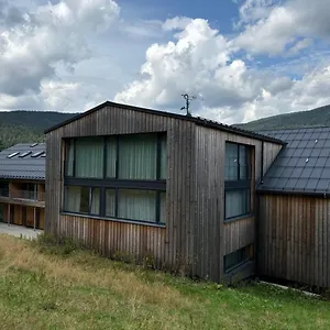 Apartament Alpina Mountain View Szpindlerowy Młyn